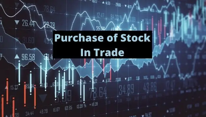 Purchase of Stock In Trade