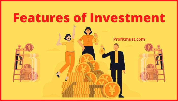 Features of Investment
