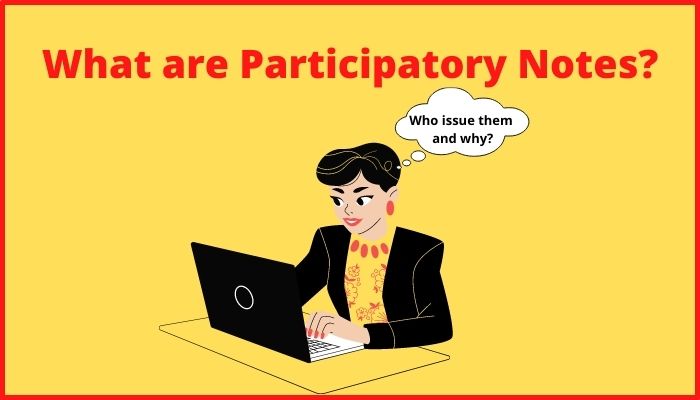 What are Participatory Notes
