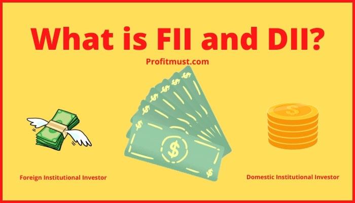 What is FII and DII?