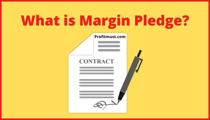 What Is Margin Pledge Transaction