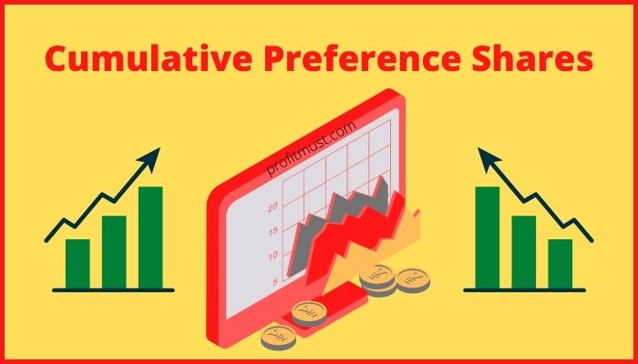 Cumulative Preference Shares