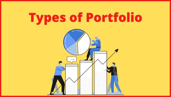 Types of Portfolio