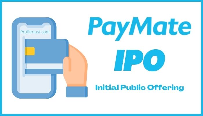 PayMate India IPO